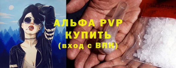 амф Аркадак