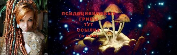 не бодяженный Арсеньев