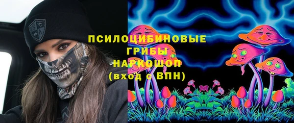 не бодяженный Арсеньев
