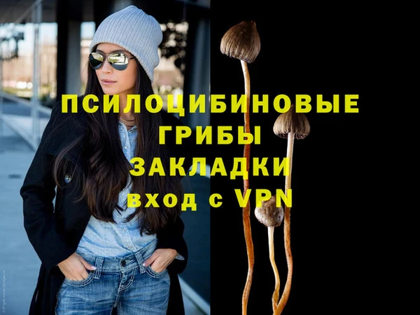 не бодяженный Арсеньев
